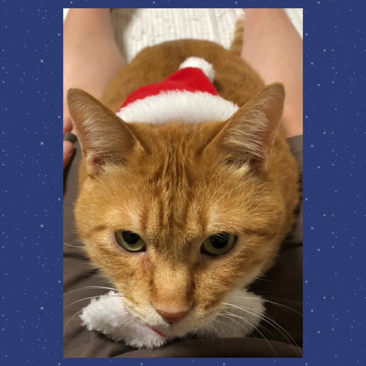 80bc3090 0b54 47c4 b92e 939f49d6563c 1637235786988