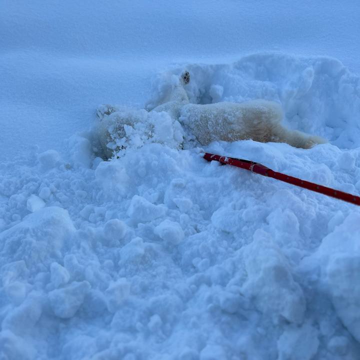 80bc4b5f 0c57 4562 94ac 4396ece47154 1703285134374