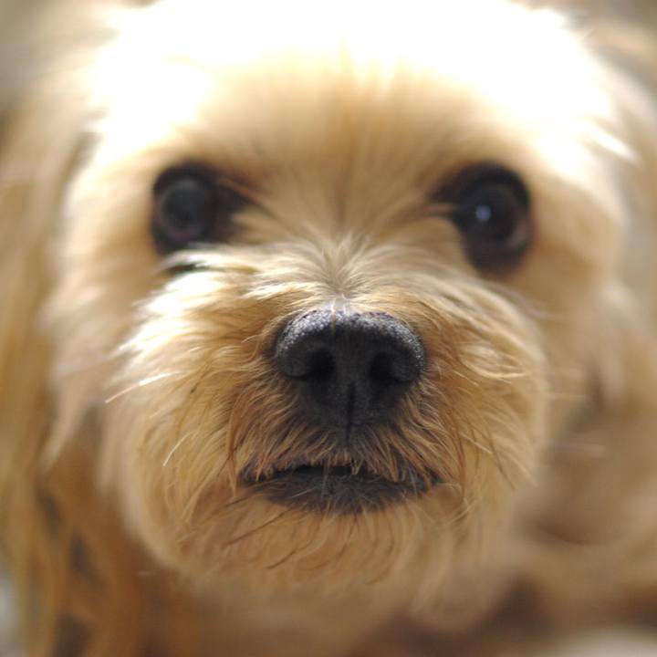 80bc5980 8f8c 4b39 828f 147cf33150fa 1524225281597