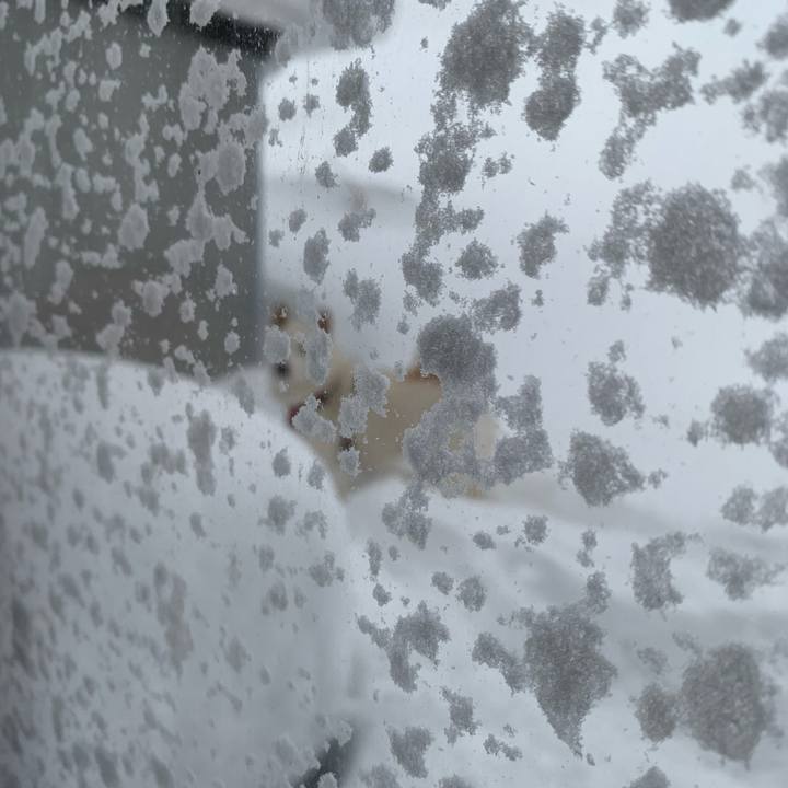 80bc7310 e14f 4871 8693 ee62f3fc4528 1611017465048