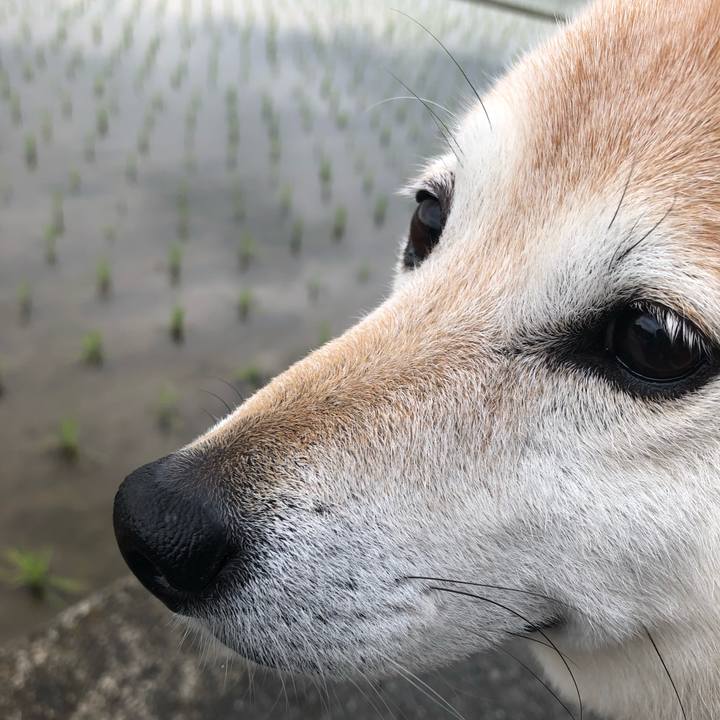 80bc9ead 8c65 4f5e 9603 e052fa06d392 1559376702372