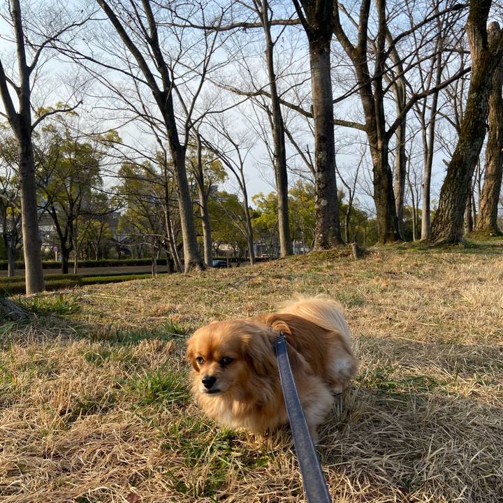 80bca925 2cca 48c6 8cc3 d43f221e7a41 1584486941908