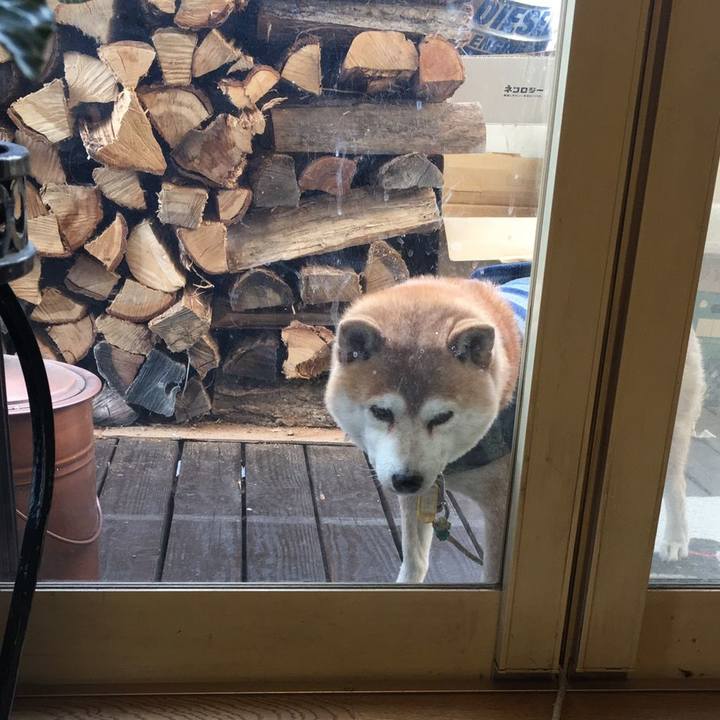 80bcdfcc e6be 4e52 bcdf 4aeead82da45 1577060750264