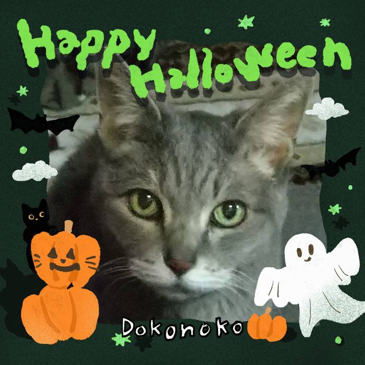 80bd1f77 0244 48be 8dc7 5dfb3a18e688 1730383160195