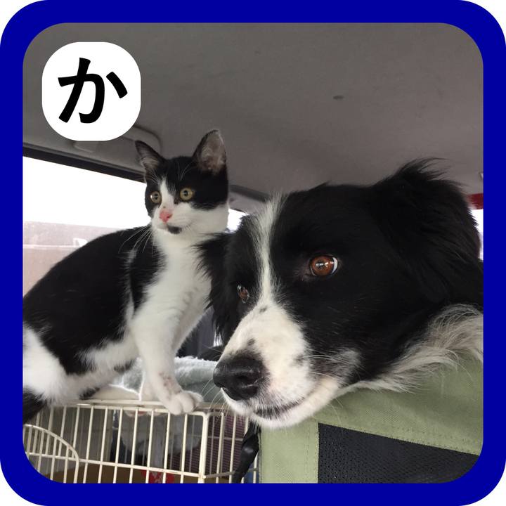 80bd2a54 bb43 4977 90d8 5a159c85f590 1514841216703