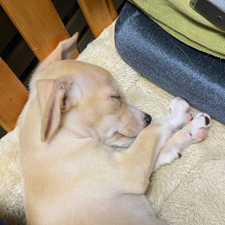 80bd424f dac5 47a0 91ae a4b5f0737cb1 1662698190445