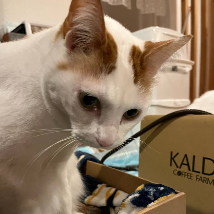 80bd4495 3049 48d3 b1f4 75742e73e169 1767486905992