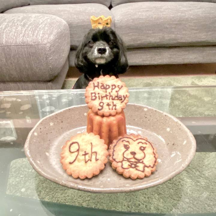 80bd4807 457c 4b58 a58b 742ea91d94c1 1677483206879