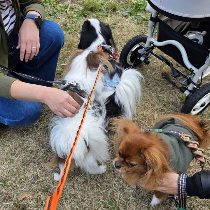 80bd4b02 82eb 446f 8225 628d34900f9e 1763284472262