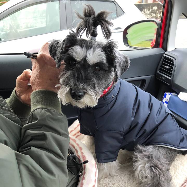 80bd80f4 b092 42d3 8519 57b638c93797 1705925251337