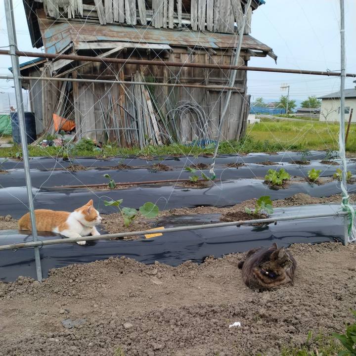 80bd8af2 a210 43b2 a1f0 ff2bbf96c6ca 1747388944605