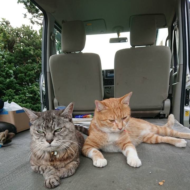 80bd8db2 aaf8 421d b0d7 d9c6a20cf906 1569221064401