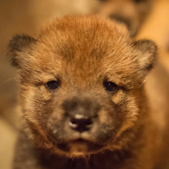 80bd8f30 4ce9 4fae aebd 78b2eff9ab2c 1591327555795