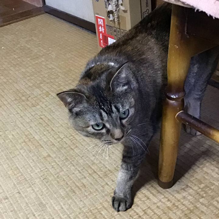 80bda530 18d4 43da 9a50 6d3c8a164165 1716453575975