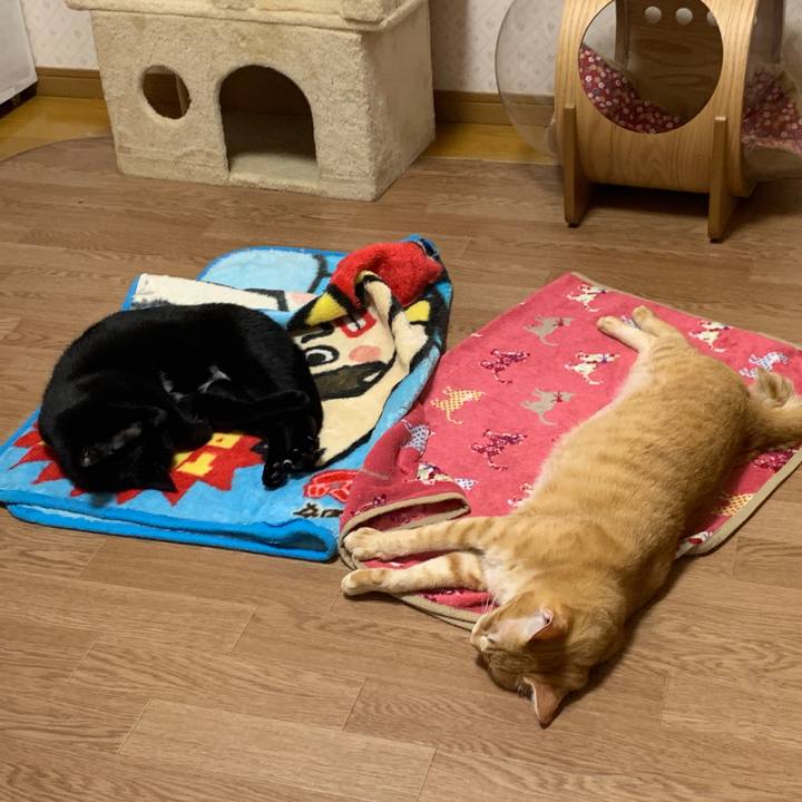 80bdc170 b511 437e b99c def1ae130723 1669543417358