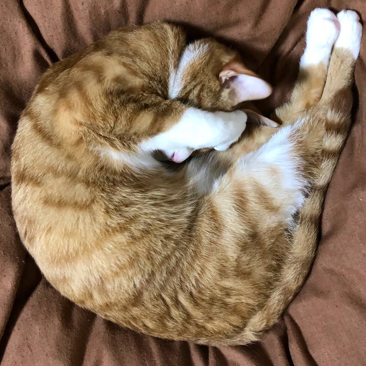 80be0002 31cb 4ffd 9ade be53ca00641d 1562219794381