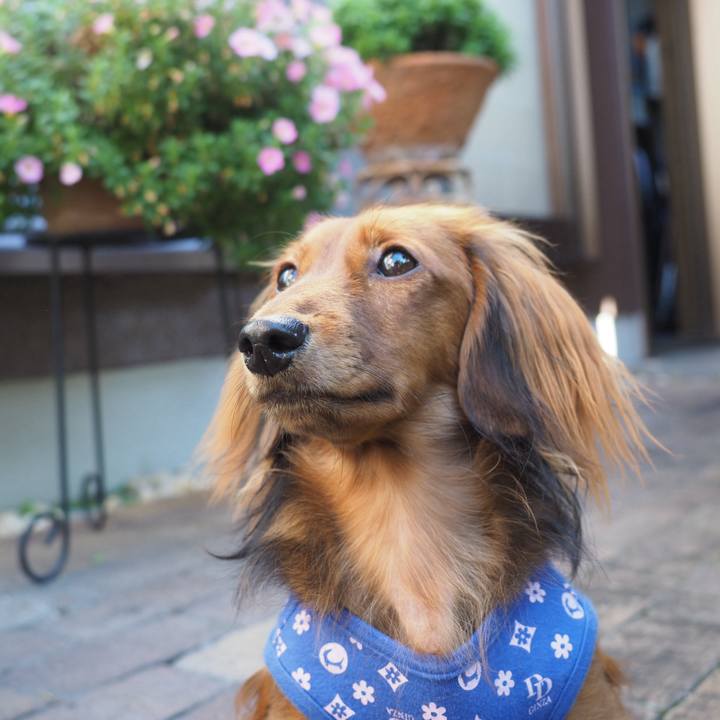 80be122e 12f1 496d 9042 553d1c4e6fcf 1728527205592