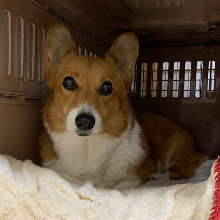 80be1636 1926 40a5 b26f 0a55d0e5bf66 1668676514755