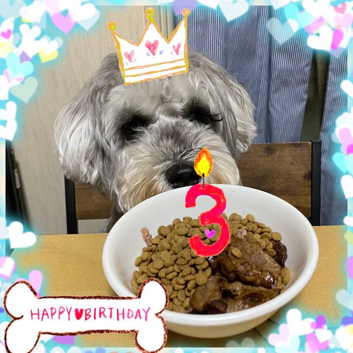 80be1a47 d2d8 4d9a 8f0e aeb87b6e6433 1649773365741