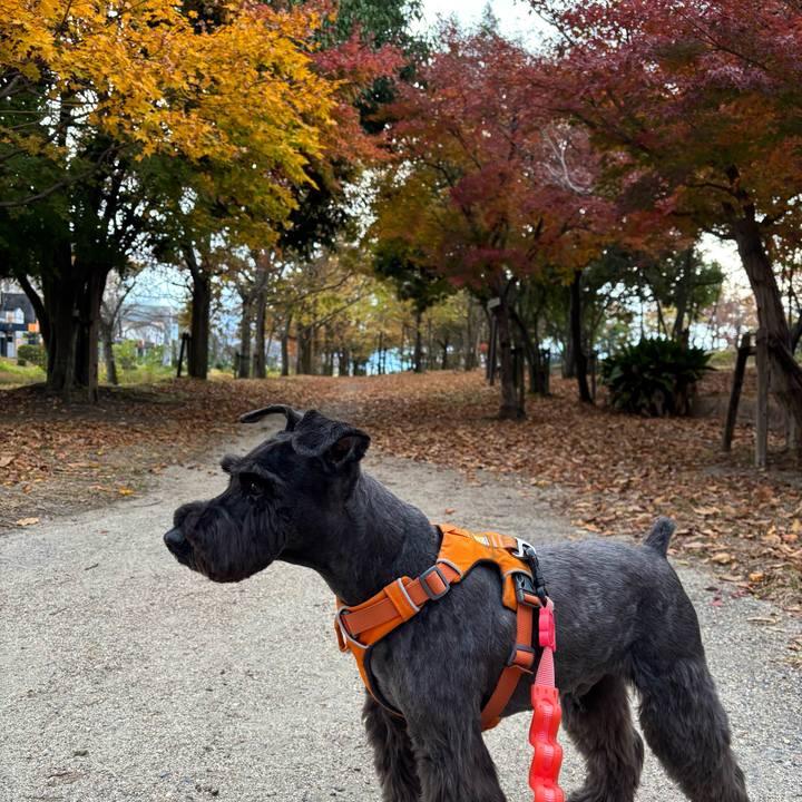 80be1d13 e7cd 45d5 8a73 4ace2b7227fa 1733470729866