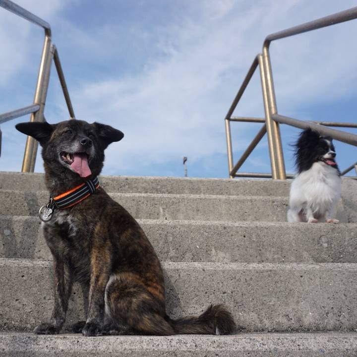 80be2ade 4df8 4440 a033 f2eae130c64b 1530792788045