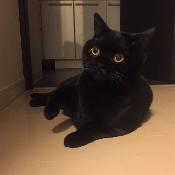 80be845a b723 44ce 9f3e 2858d0f01a17 1588511856059