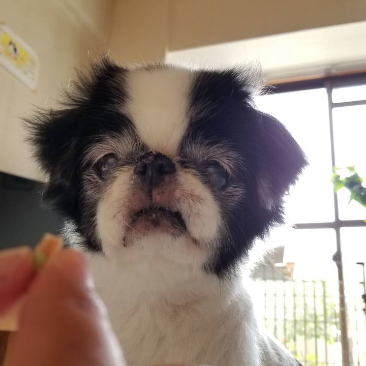 80be9495 7435 418f 87df bf20d7bd9fbb 1571451510908