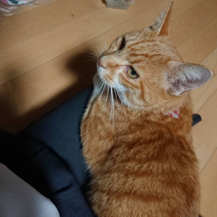 80beb023 f77f 44c8 a661 b23c8c031ca7 1602061481132