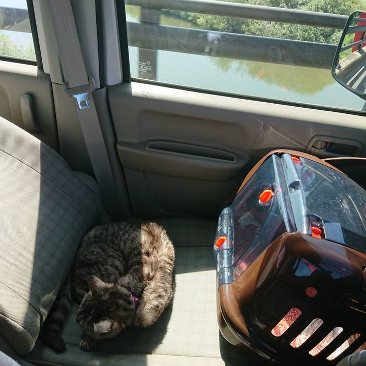 80beba0c a8c2 476c a94e 87ad14eb95a1 1598406458676