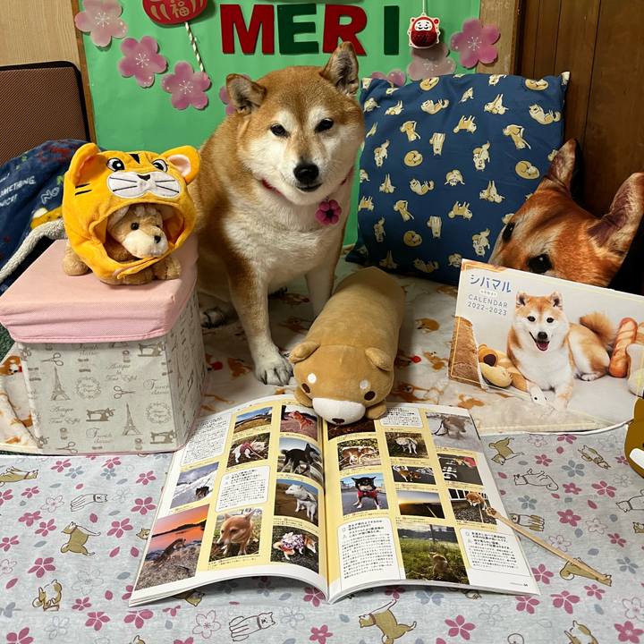 80bebcae 7bdf 471a b9b0 f76d48d2e1b1 1648558539954