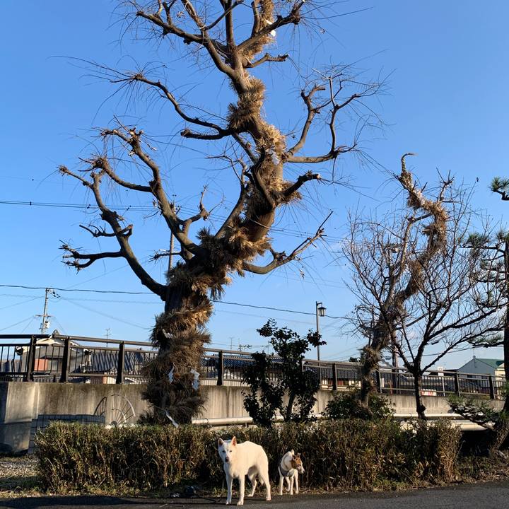 80bee5ea f26b 4b3f 8169 82753c39fc75 1578873968614