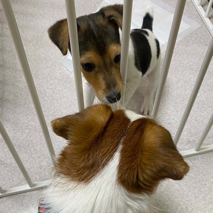 80beefd0 9ad6 4e9c 879e 49ace8878647 1742738731068