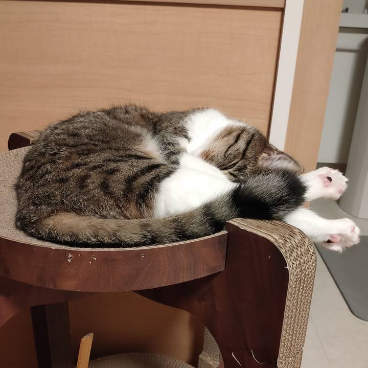 80bf3055 e3bd 47ed ad03 0ae66e9ded9c 1659698889733