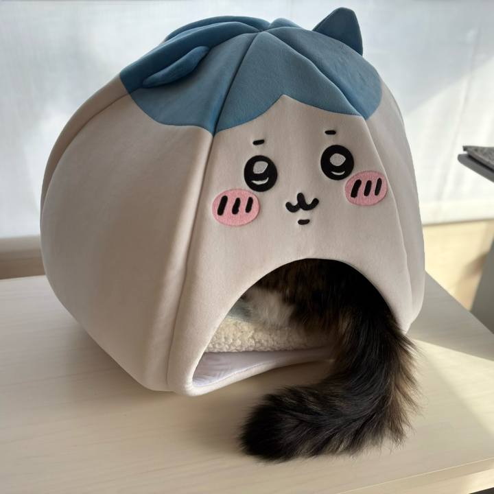 80bf606d 1776 4be4 b694 83dbaf2829e7 1764411712825