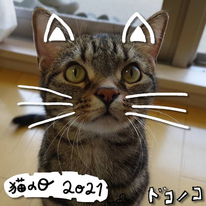 80bfba1c b0dc 403f bff9 841227e0bd80 1613959506736