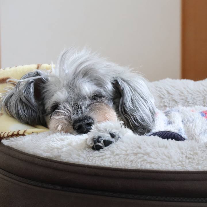 80bfbd54 039e 4878 b2fe 6e273917ce37 1763524470840