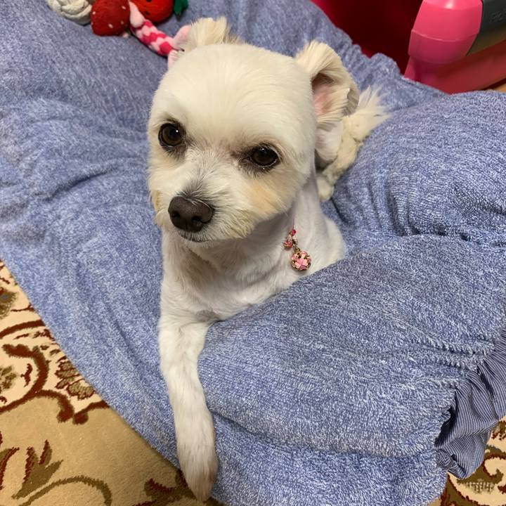 80bfbeca 0d20 4925 ae73 b9658869b886 1597660593927