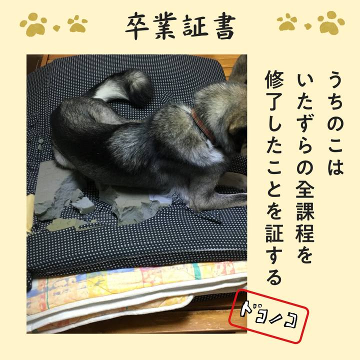 80bfd36a e3ce 49a9 ba49 04cefed021af 1772072264366