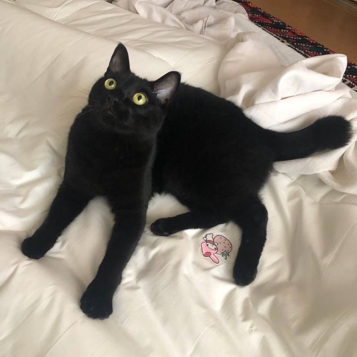 80bfde1d e065 47b9 a1a0 ee76d506ddde 1598050883879