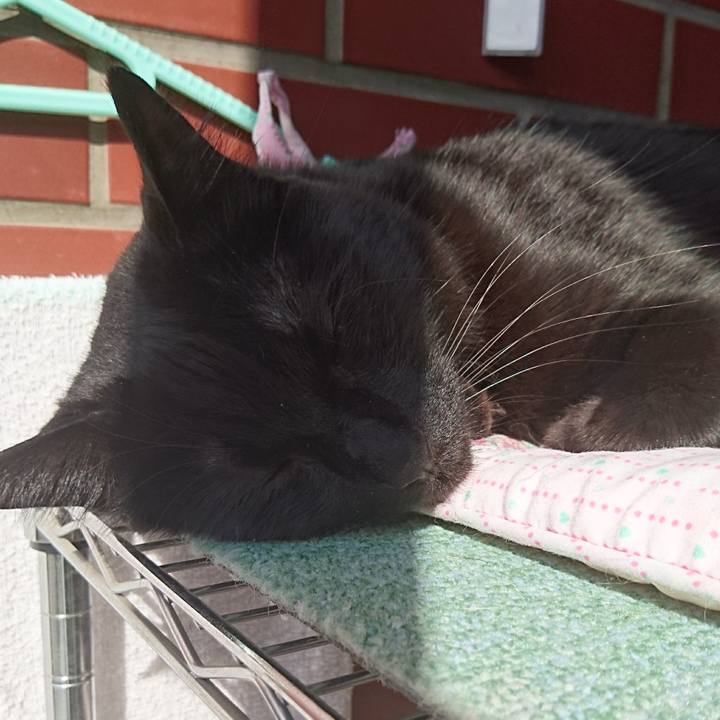 80bfe543 5bbe 427a b0e9 58e0b813b028 1556431605787