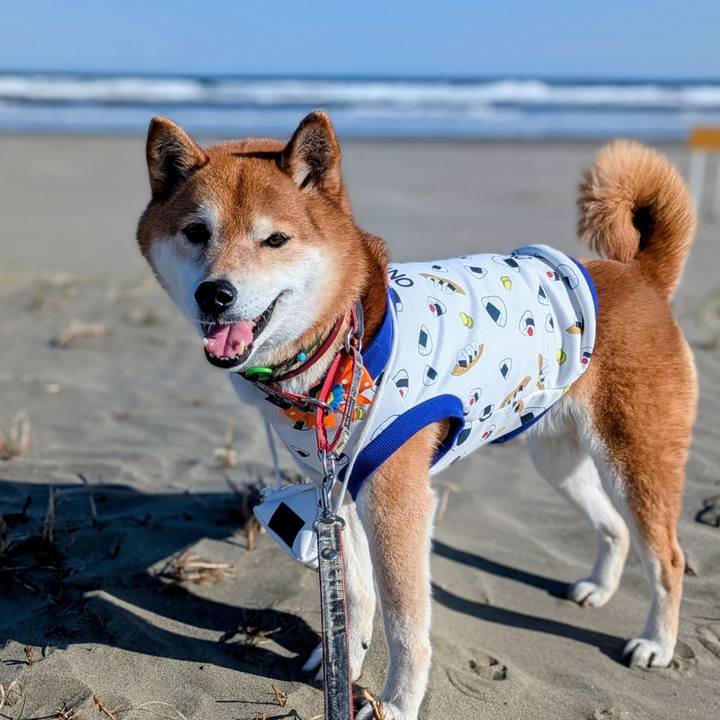 80c00266 abb2 4ffa 8afc b5c0f3b1a6e3 1773475224138