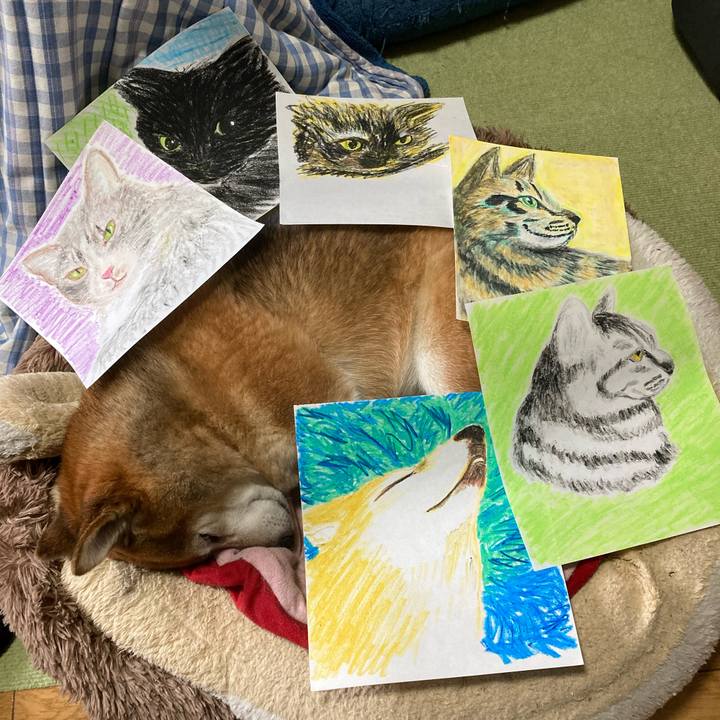 80c0044a d4ac 4c31 b565 b8b225a1ac8a 1669277989745