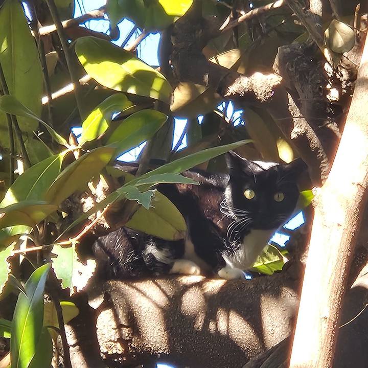 80c01414 6f44 4077 a8d0 956a2700b54e 1736509413267