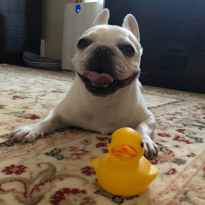 80c01c84 f139 427d ae75 de5c452aee2b 1658640051784