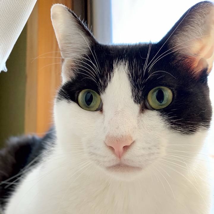 80c03914 fdeb 4794 a69a 15a113c8c635 1541467868210