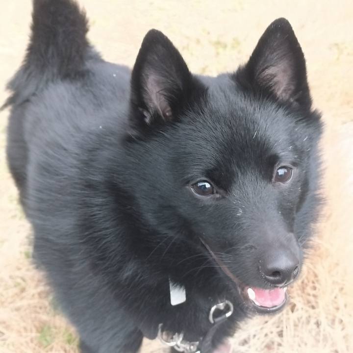 80c04970 5f1c 4152 8362 34d862a35761 1769814868986