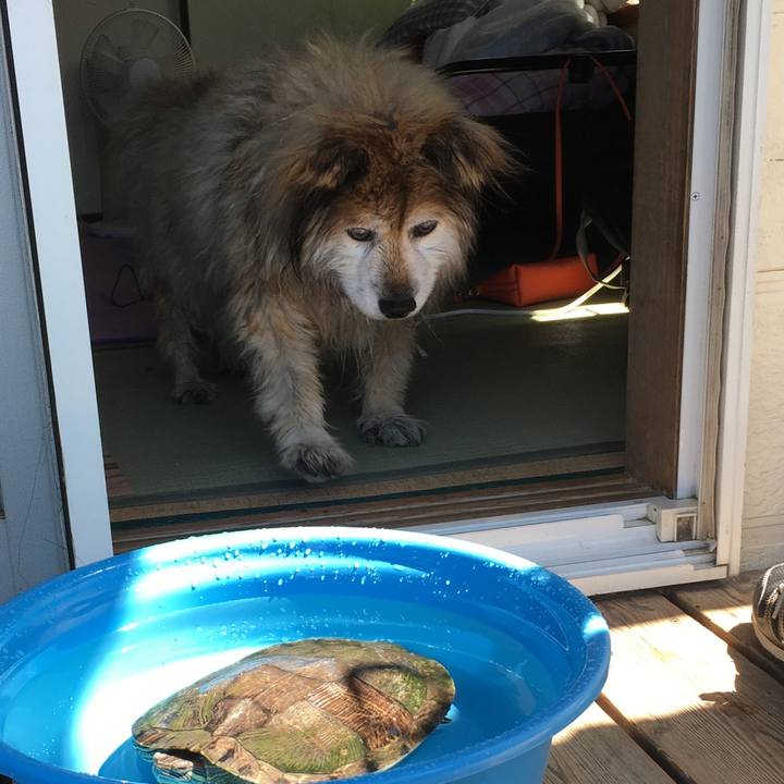 80c05513 3335 4ca0 a874 e64a9fe2fa1b 1571010916337