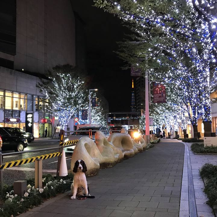 80c07b50 1246 412c 9716 2a810a467cfe 1510630426779