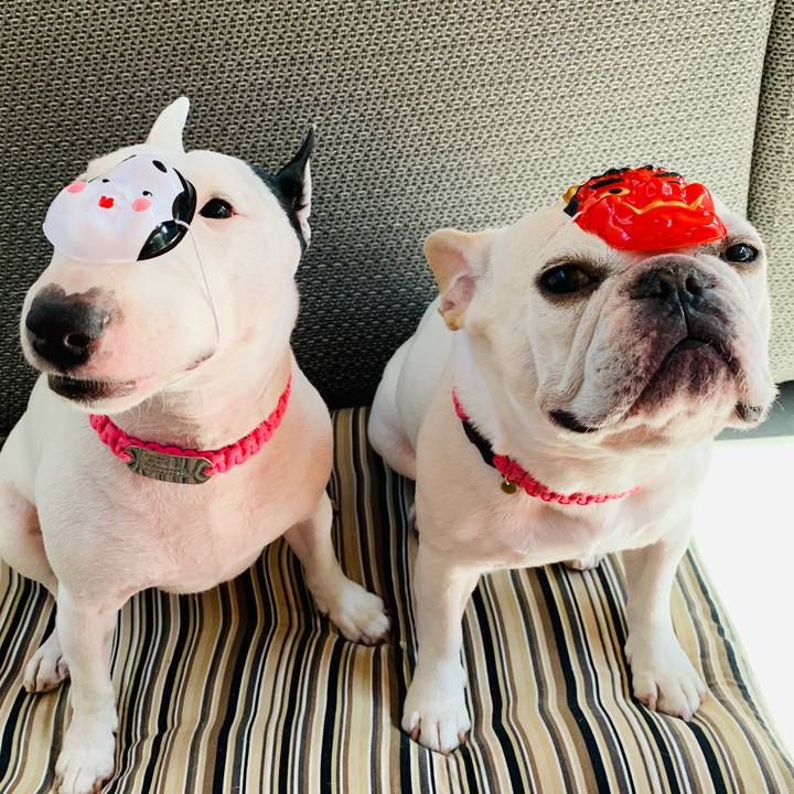 80c0dd3b cc72 4487 8e2f 98d13f2df4e5 1580739614477