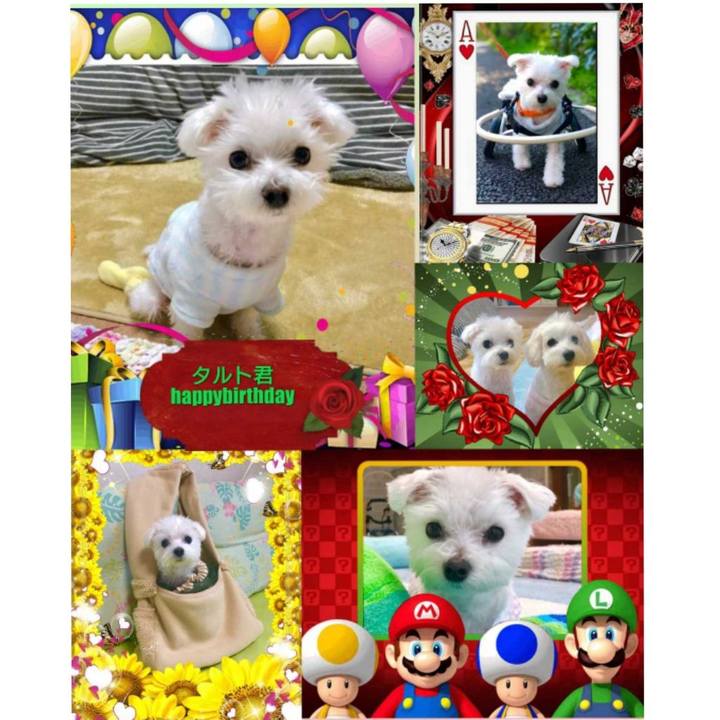 80c0fbeb 612f 48fb 8e32 e8a5b867026e 1560261858645